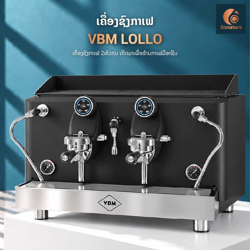 VBM LOLLO